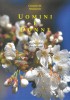 Männer und Frauen des Neuen Testaments - Italienisch